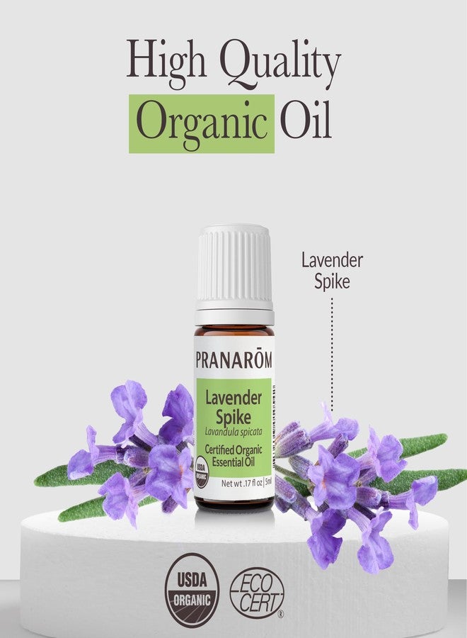 Pranarom - Lavender, Spike Essential Oil 5ml - Ideal for Wellness Enthusiasts - Diffusing for Relaxation Therapy - Certified Organic Purity - 100% Pure, Certified Organic Lavandula Spicata - Image 4